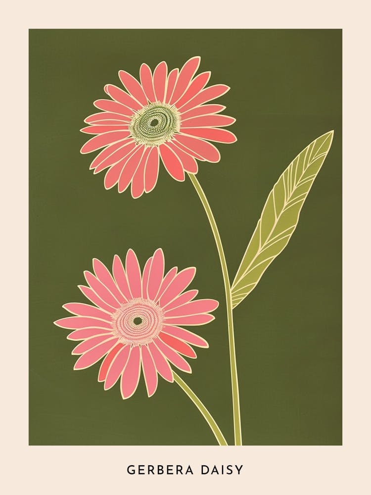 Marguerite Gerbera Rose et Verte 3 Affiche Fleur