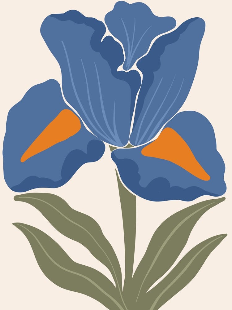 Blue Iris 1
