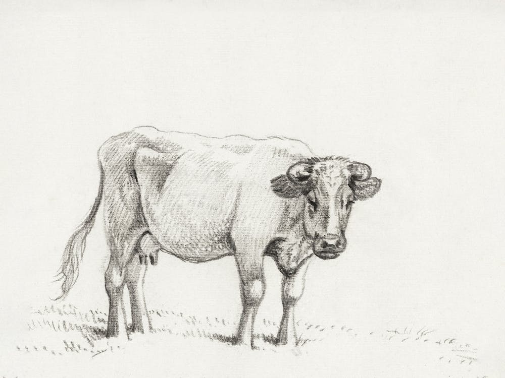 Standing Cow (1816), Jean Bernard