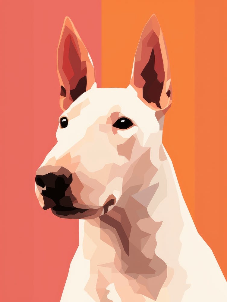 Bullterrier 6