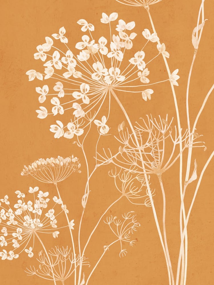 Wildflowers 16
