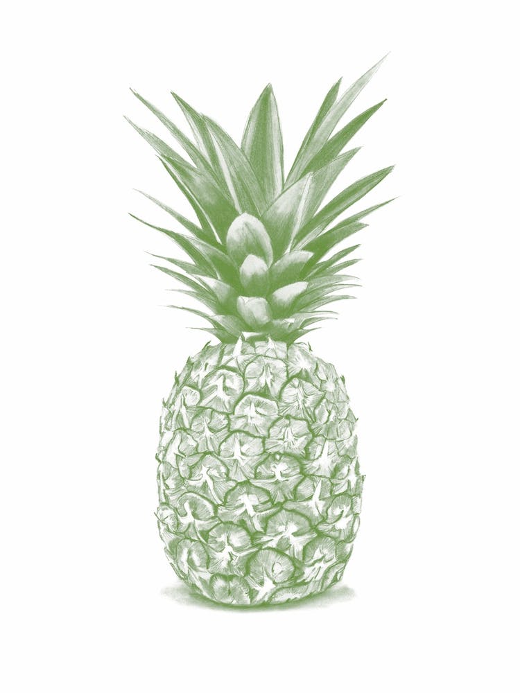 Green Pineapple Handrawn