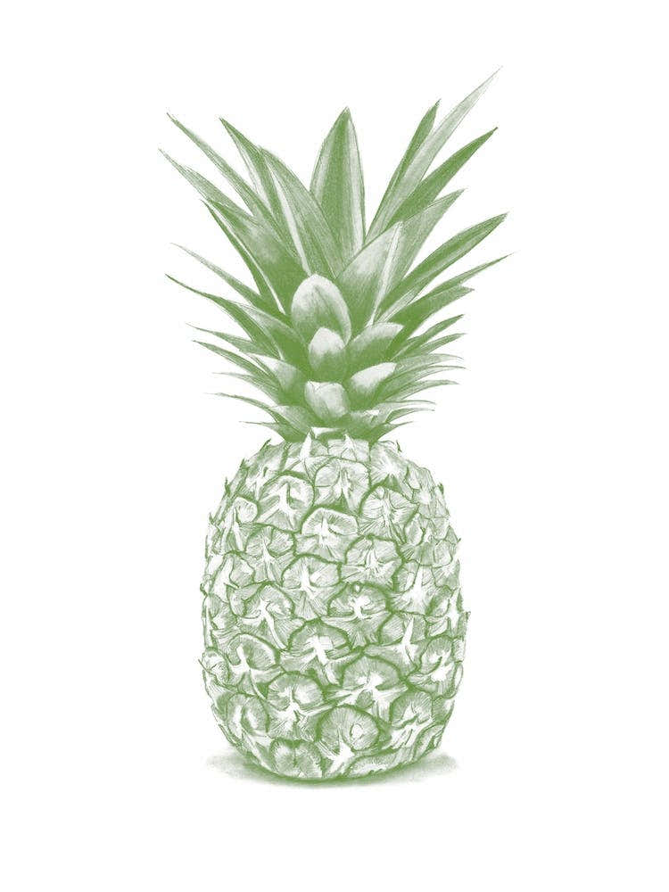 Green Pineapple Handrawn