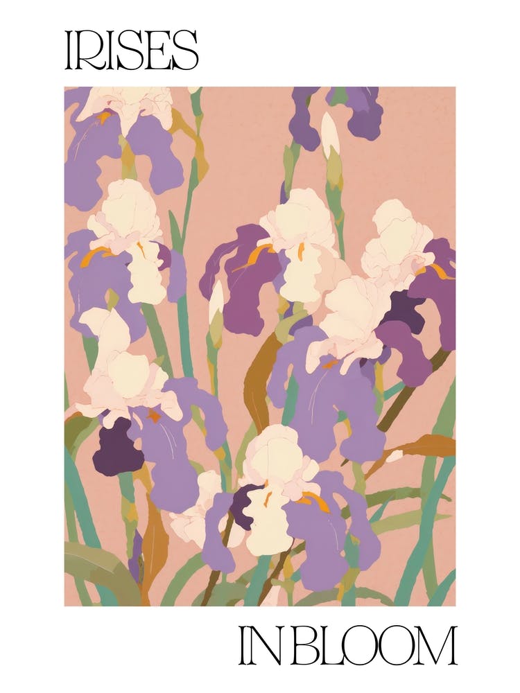 Irises In Bloom Flowers Bold Illustration 2