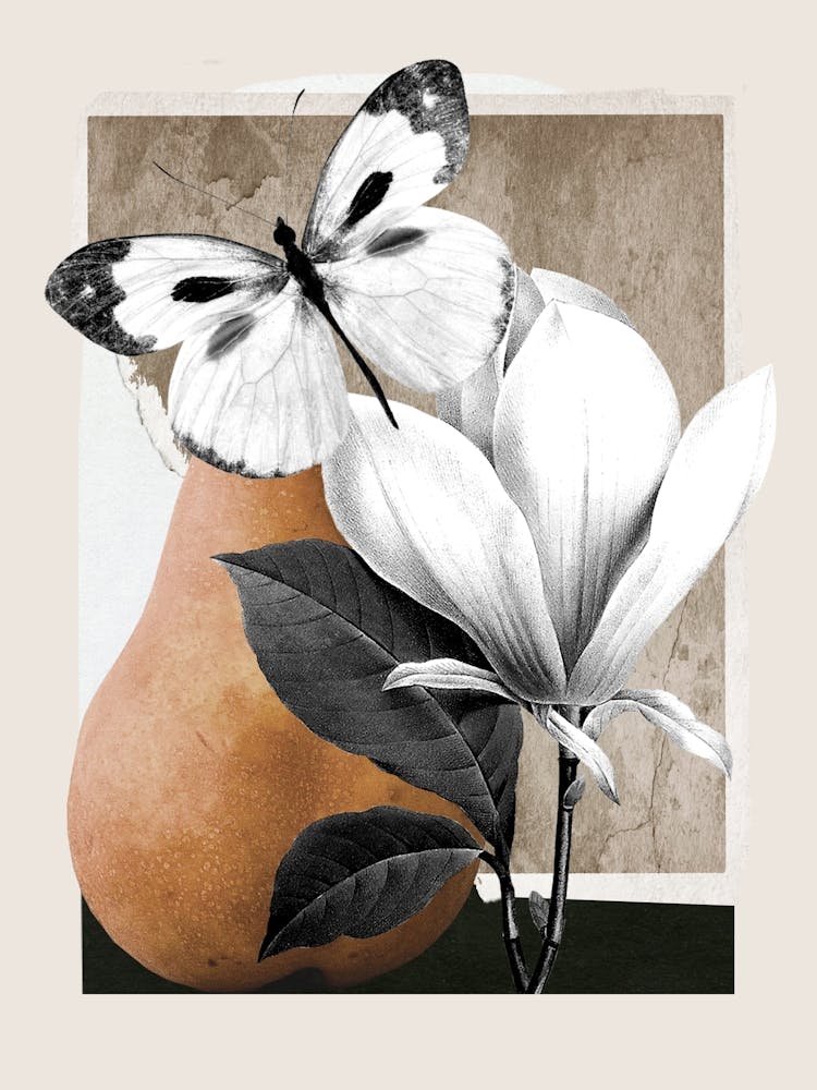 Art de Collage - Nature Morte