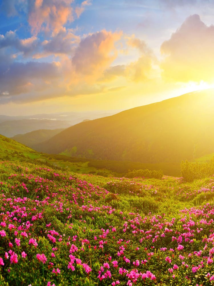 Sunset In The Mountains 5