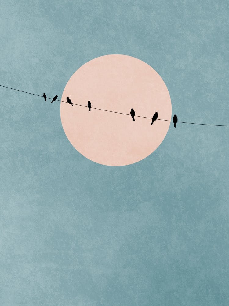 The Beauty Of Silence