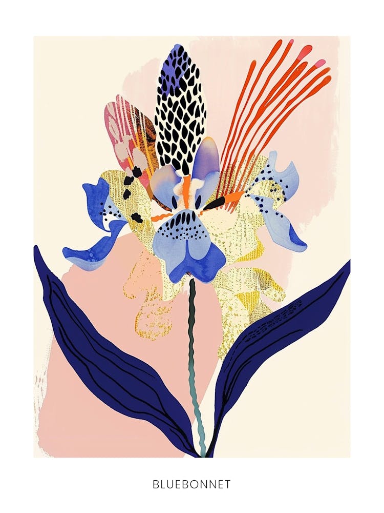 Colourful Flower Illustration Poster Bluebonnet 1