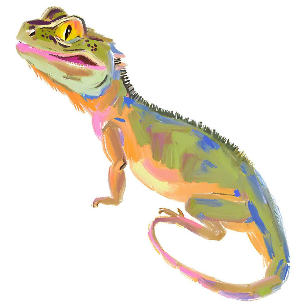 Bearded Dragon Lizard 06