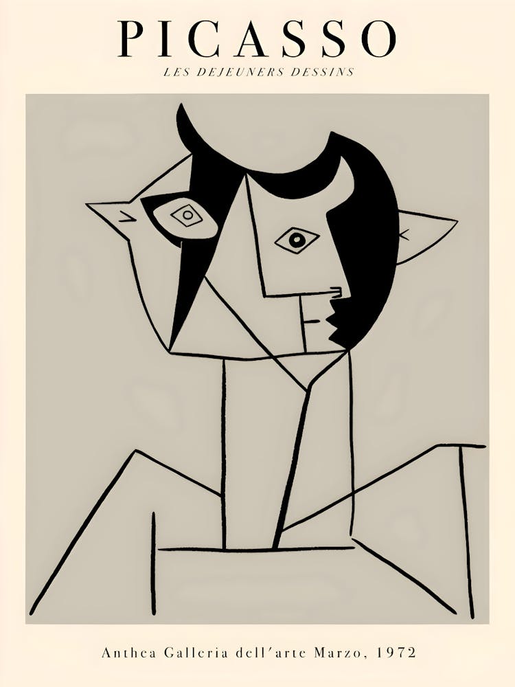 Picasso 6