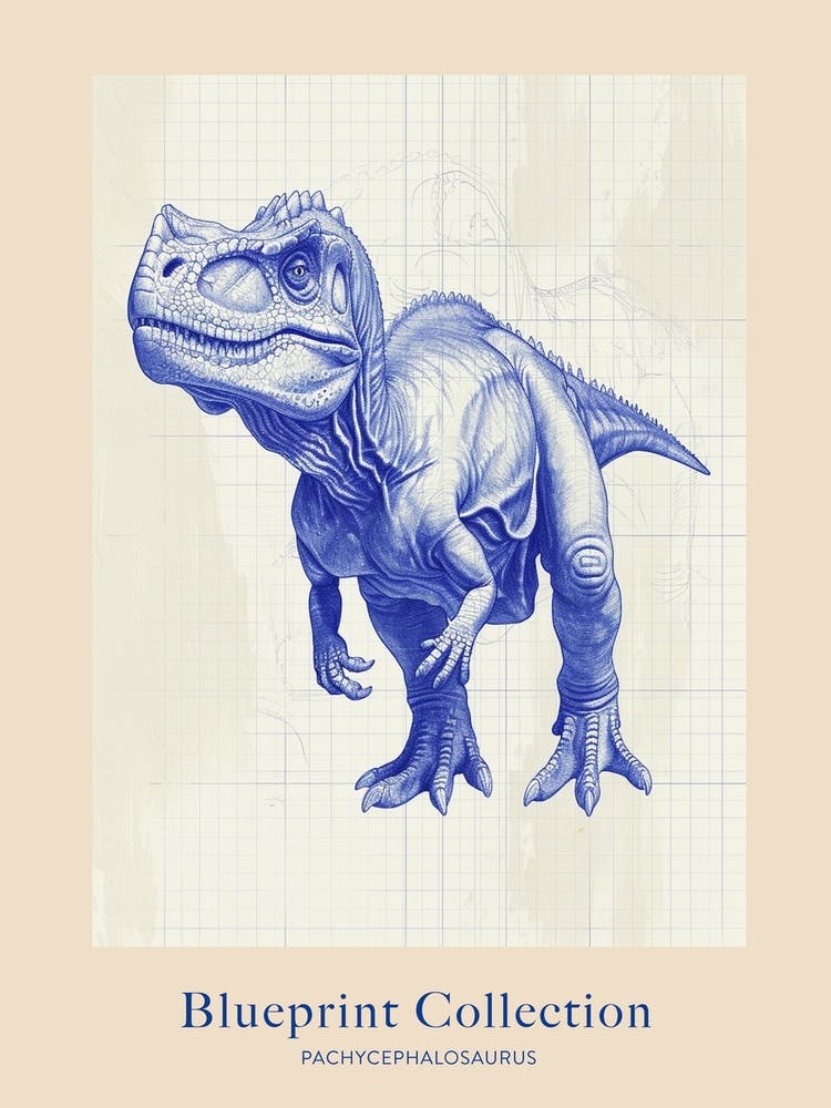 Pachycephalosaurus Dinosaur Blue Print Style Poster