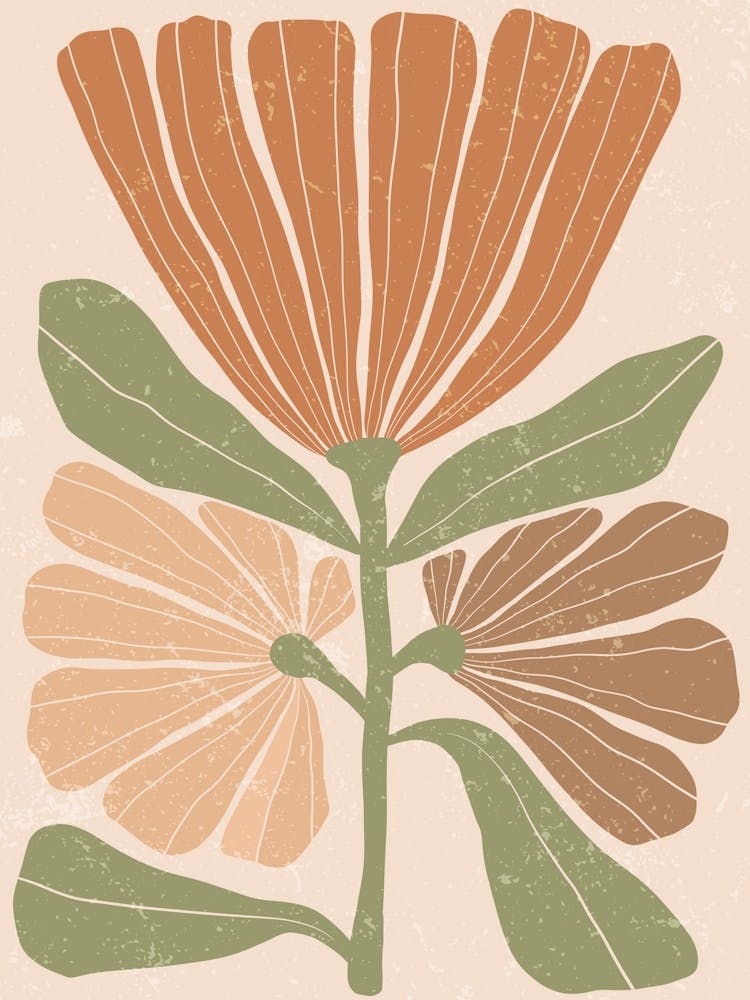 Eucalyptus 7