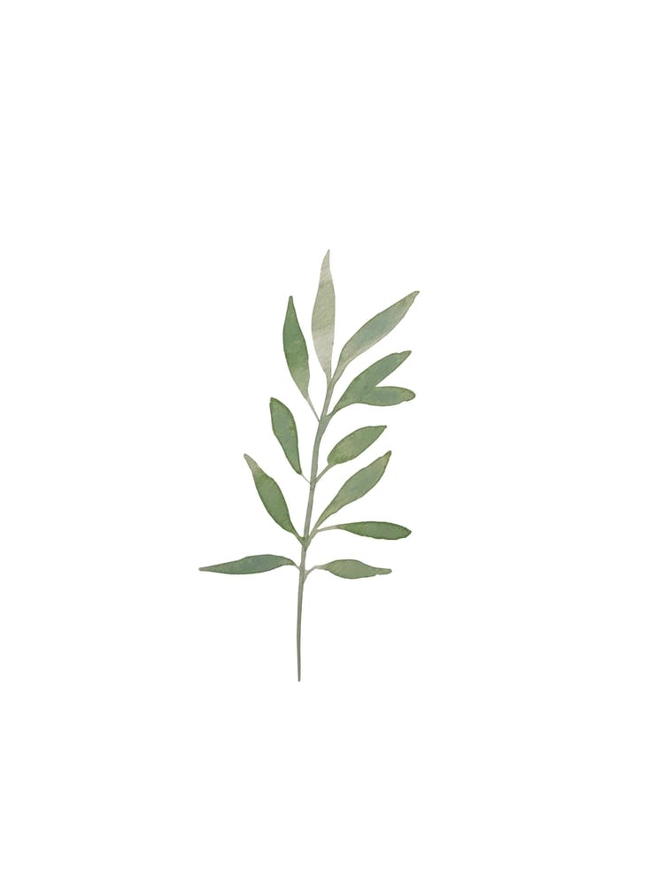 Green Watercolour Leaves