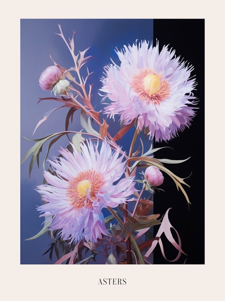 Floral Illustration Asters 4 Poster