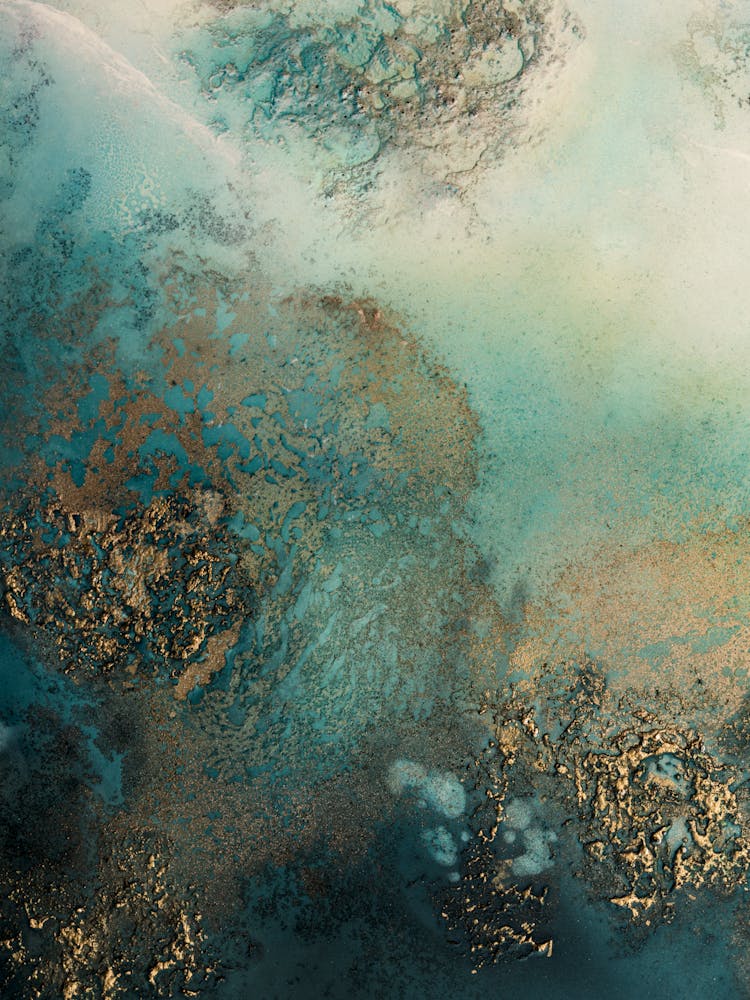 Reef Shimmer 3