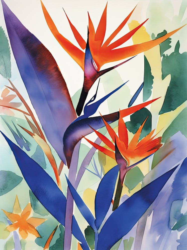 Bird Of Paradise Flower Illustration 3