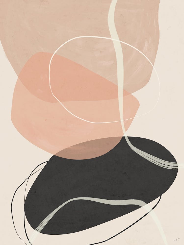 Contour Abstract Shapes