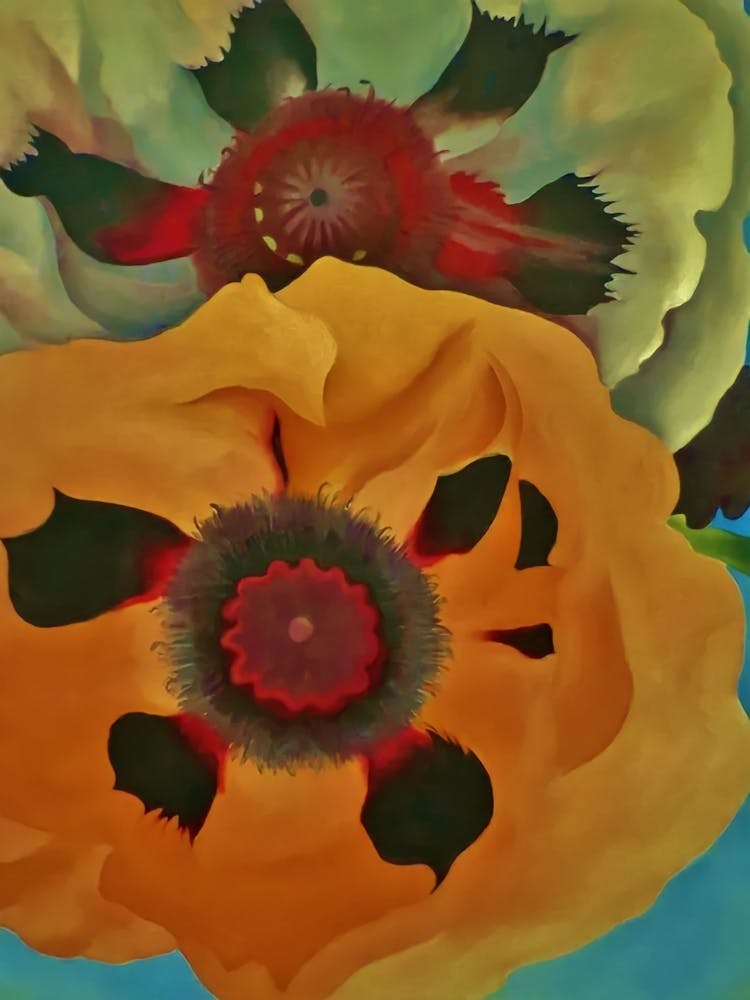 Georgia O'Keeffe - Poppies