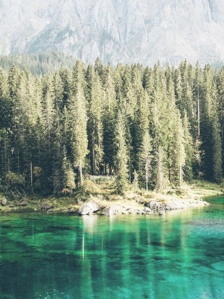 Dolomites, Italy I Enchanting landscape of Lake Lago di Carezza with crystal clear turquoise water surrounded by fir breathtaking nature mountain scenery photography in the sunset light with rustic aesthetic