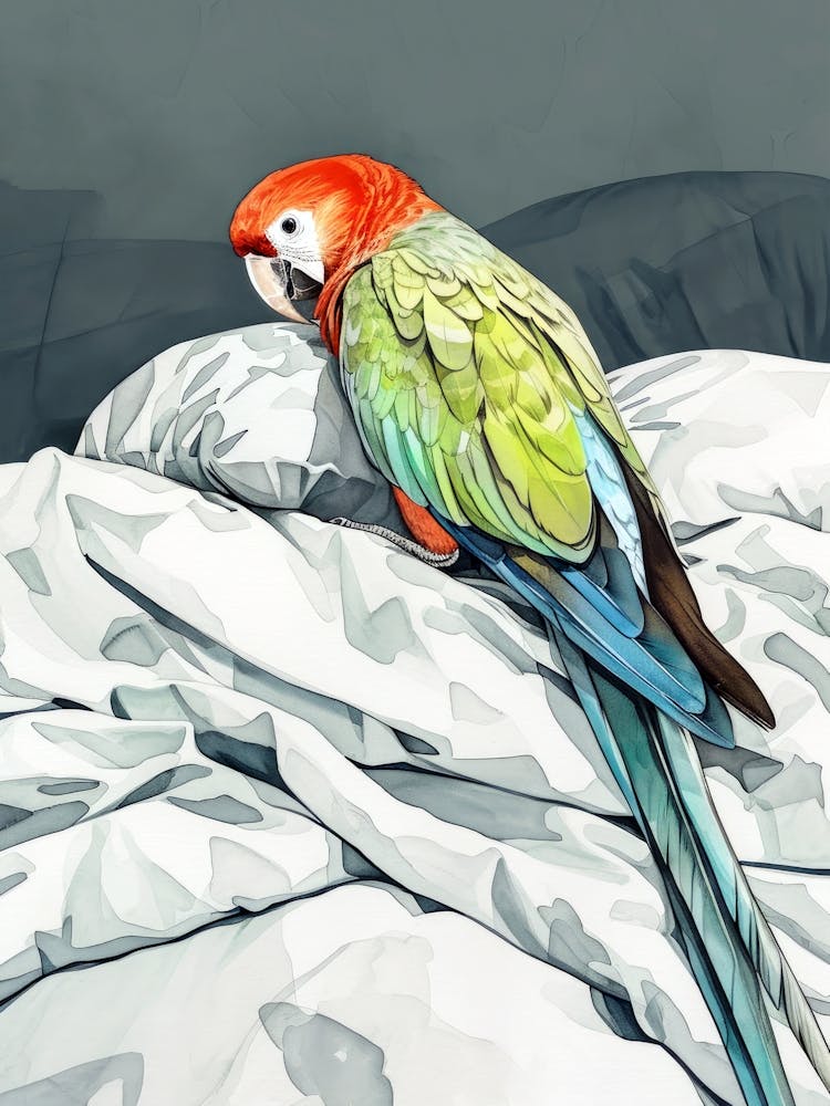 Parrot bird animal illustration art