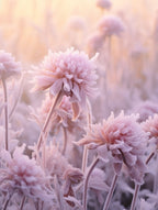 Frosty Botanical Bergamot 1