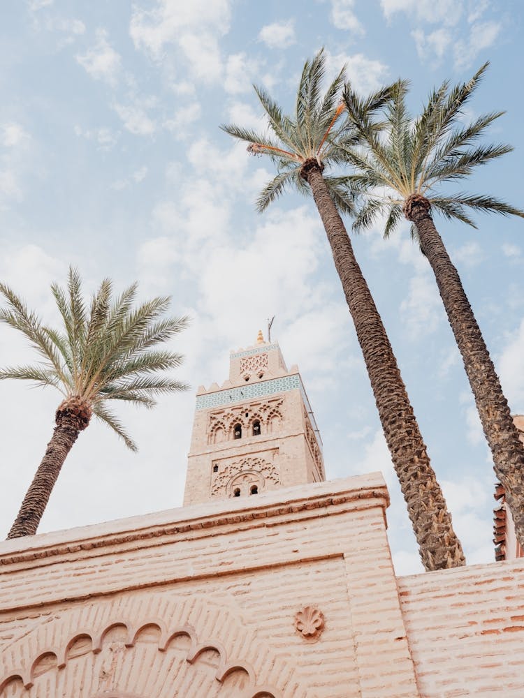 Palm Trees And A Mosque In Morocco