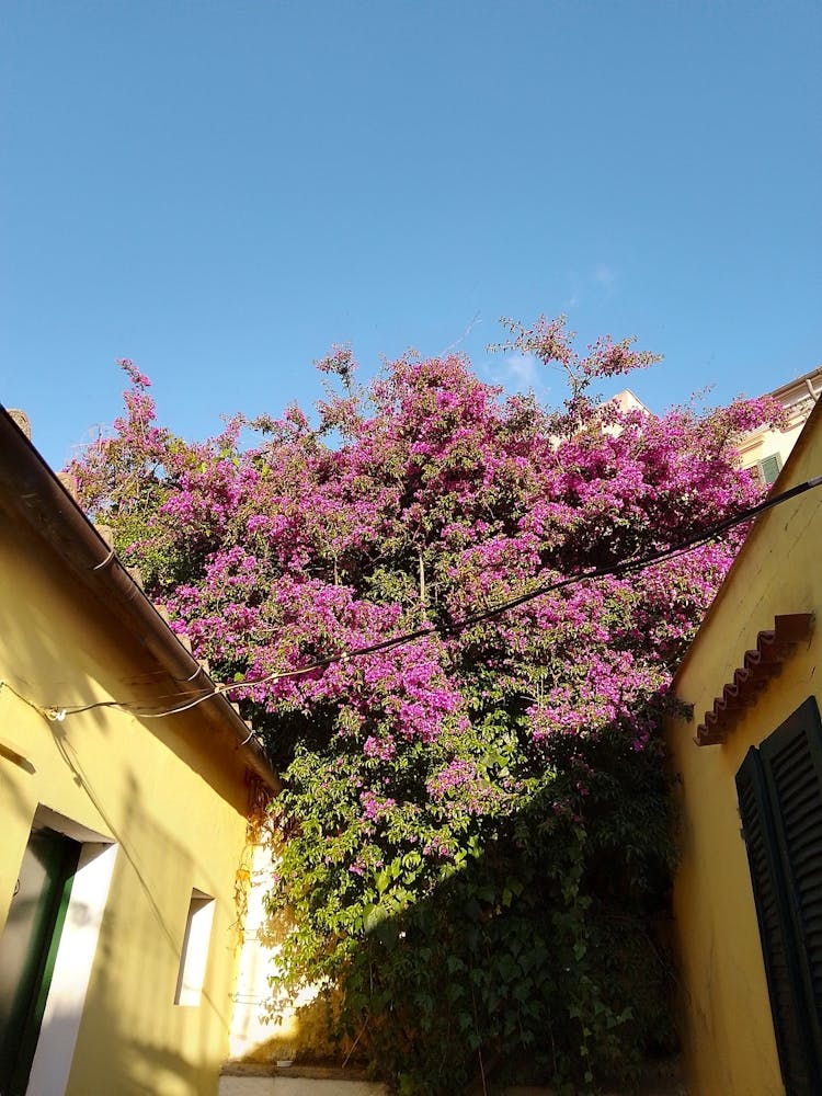 Img 20240531 193420 Hdr