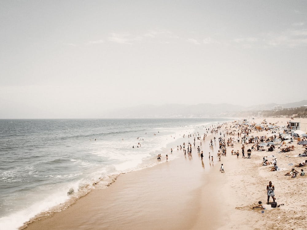 Busy Beach Day