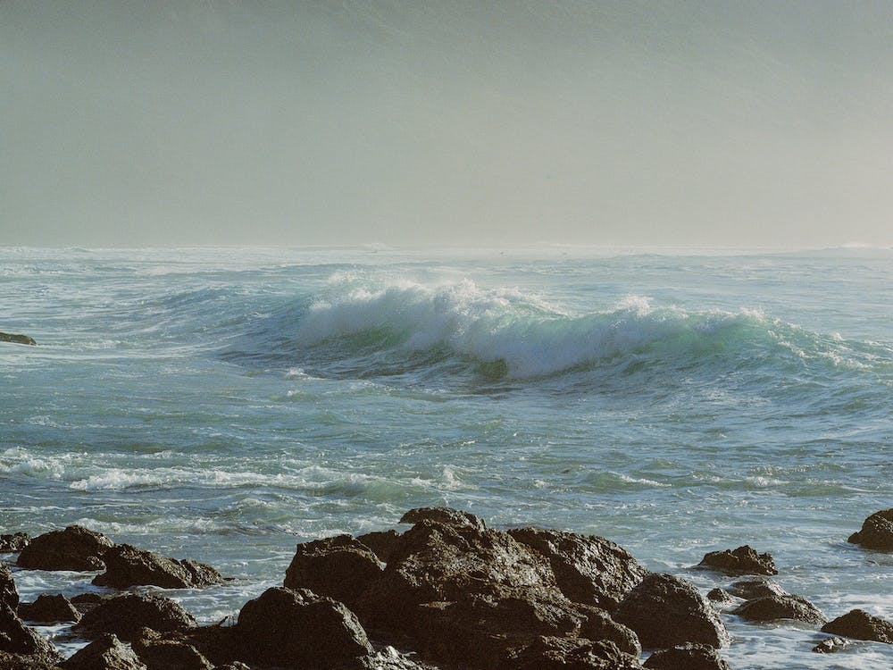 California Wave