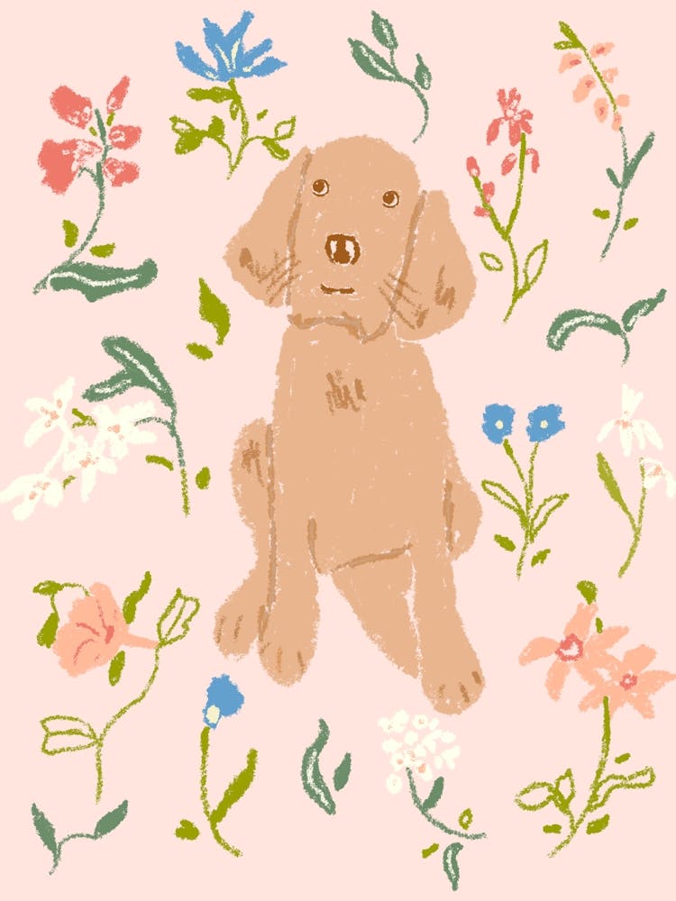 Dog Amongst Wildflowers 