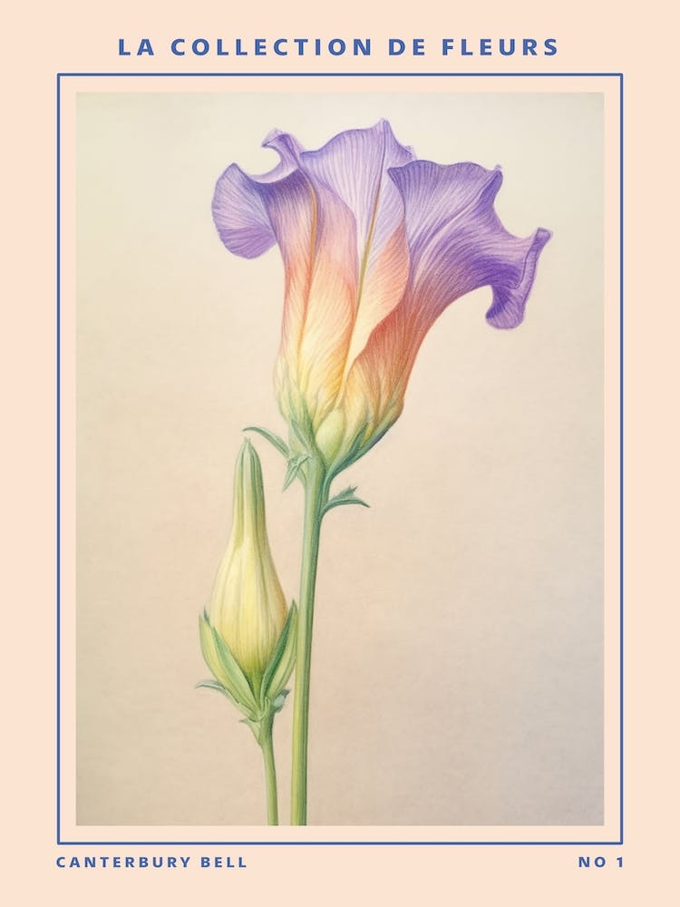 Canterbury Bell French Flower Botanical Poster