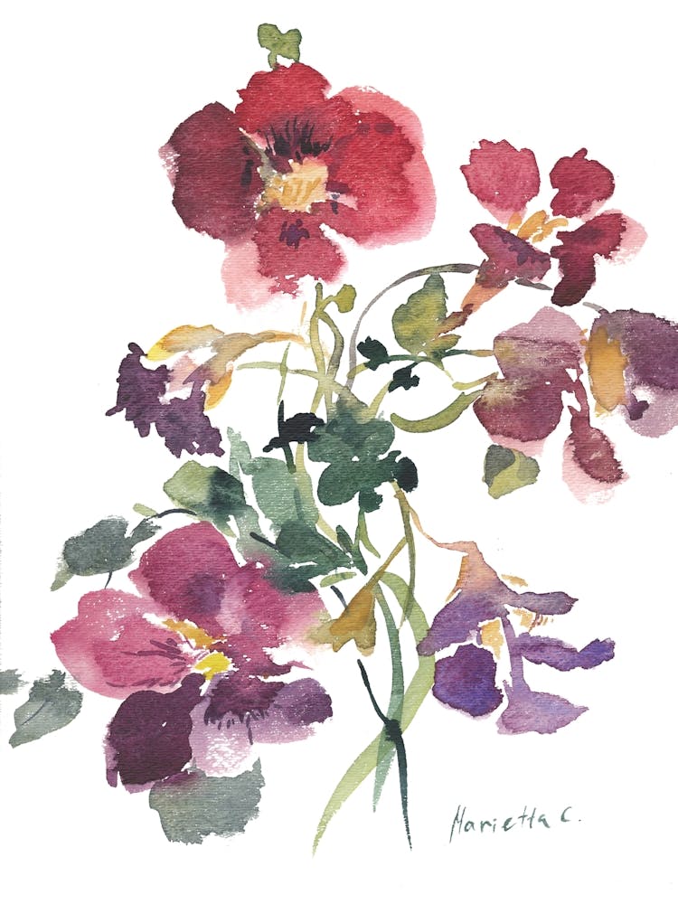 Flower Series12