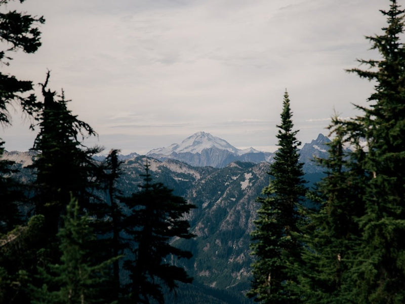 Glacier Peak