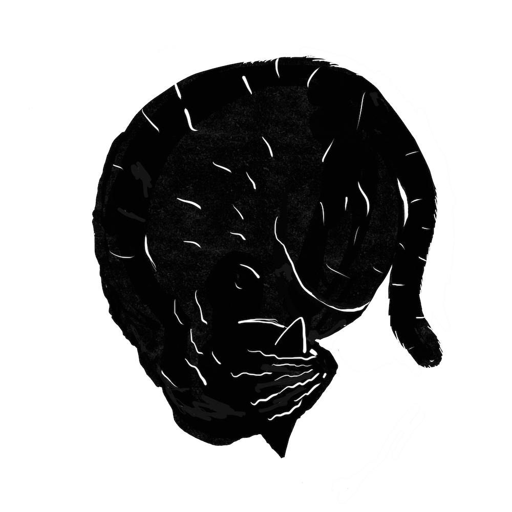 Cat Nap
