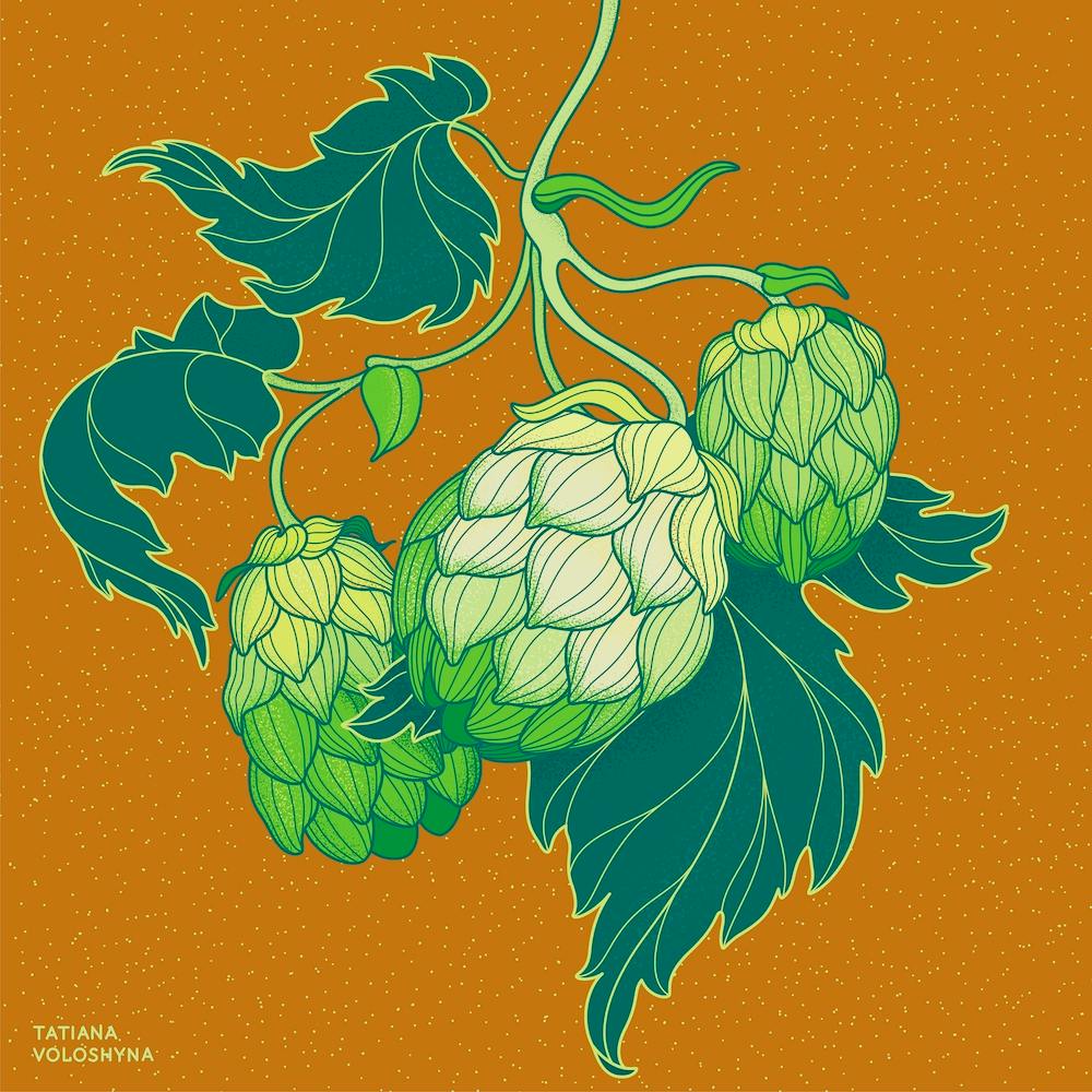 Grünes Hopfen-Quadrat