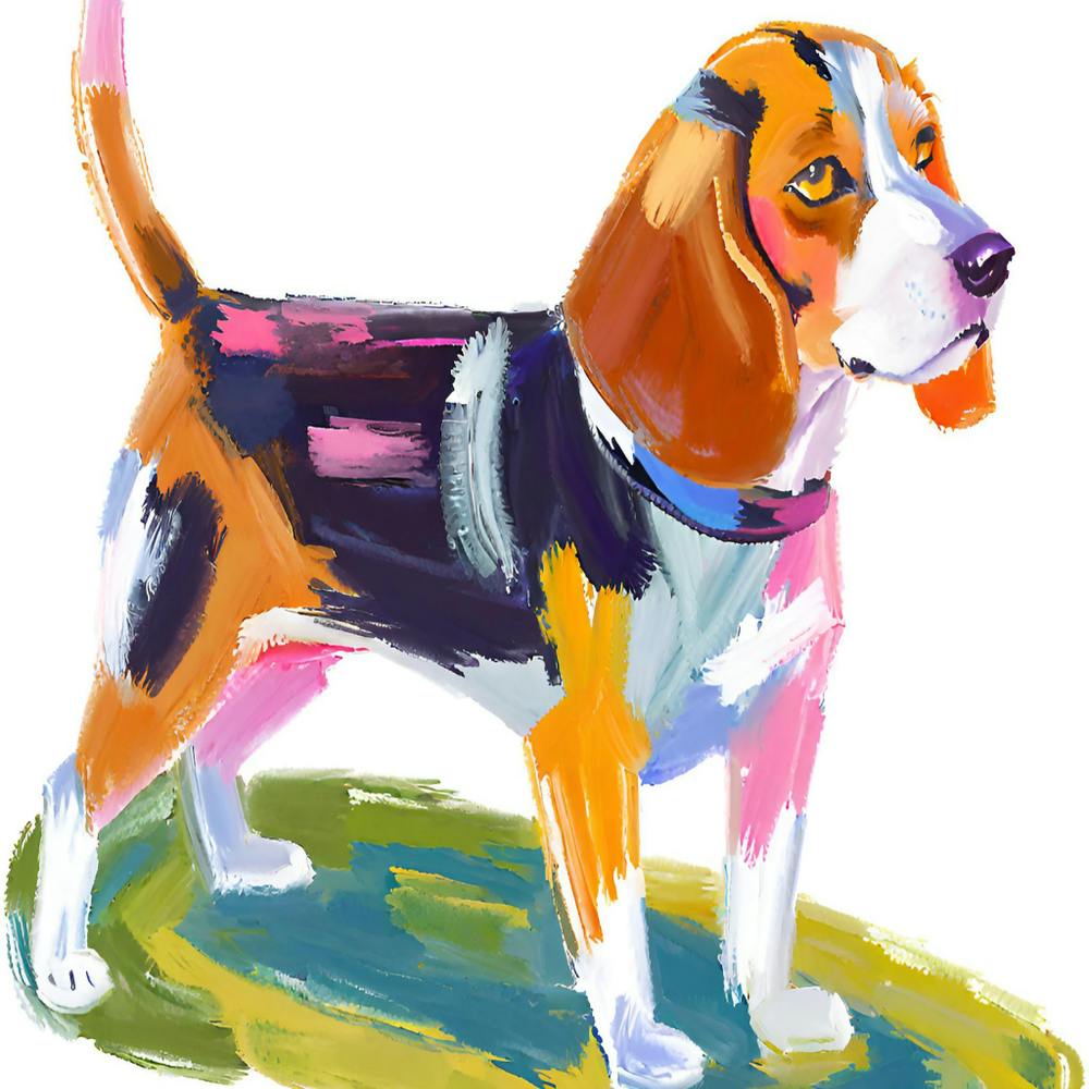 Beagle 04