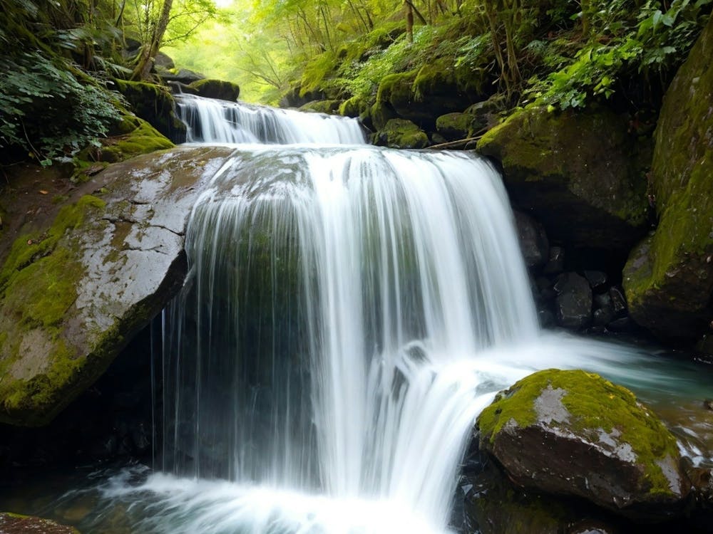 Waterfall In The Forest