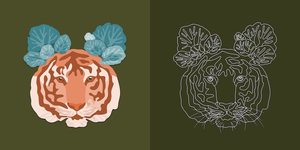 Tiger And Saxifraga On Olive Green