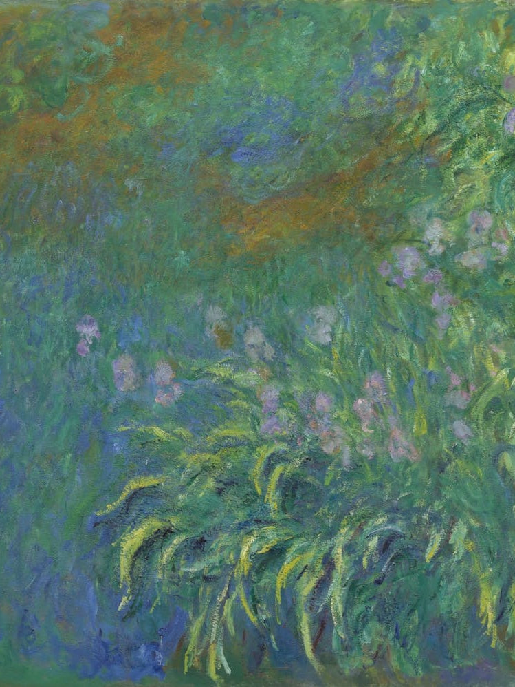 Claude Monet - Iris
