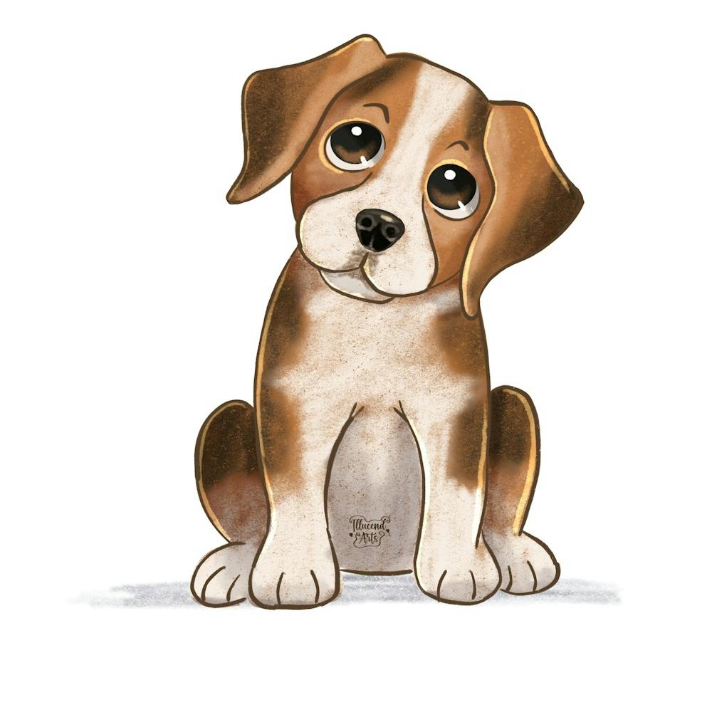 Beagle Puppy