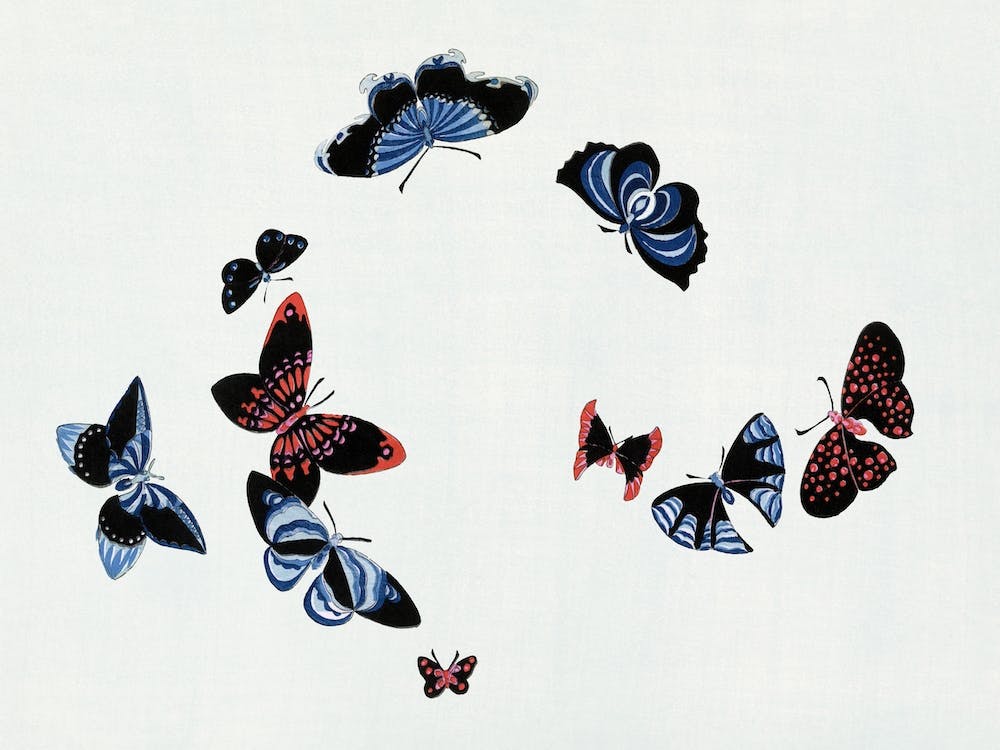 Birds From Momoyogusa –Flowers Of A Hundred Generations, Kamisaka Sekka (30)