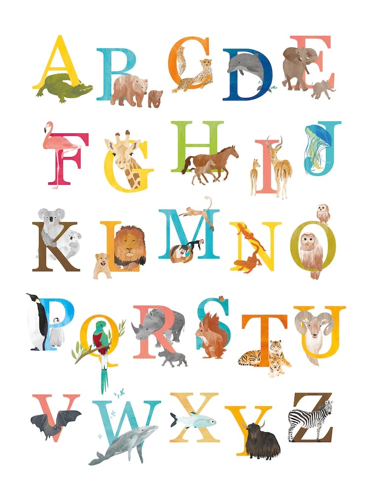 Animal Alphabet