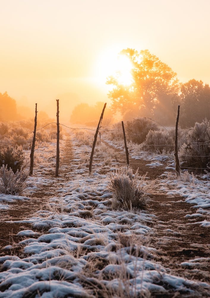 Snowy Sunrise