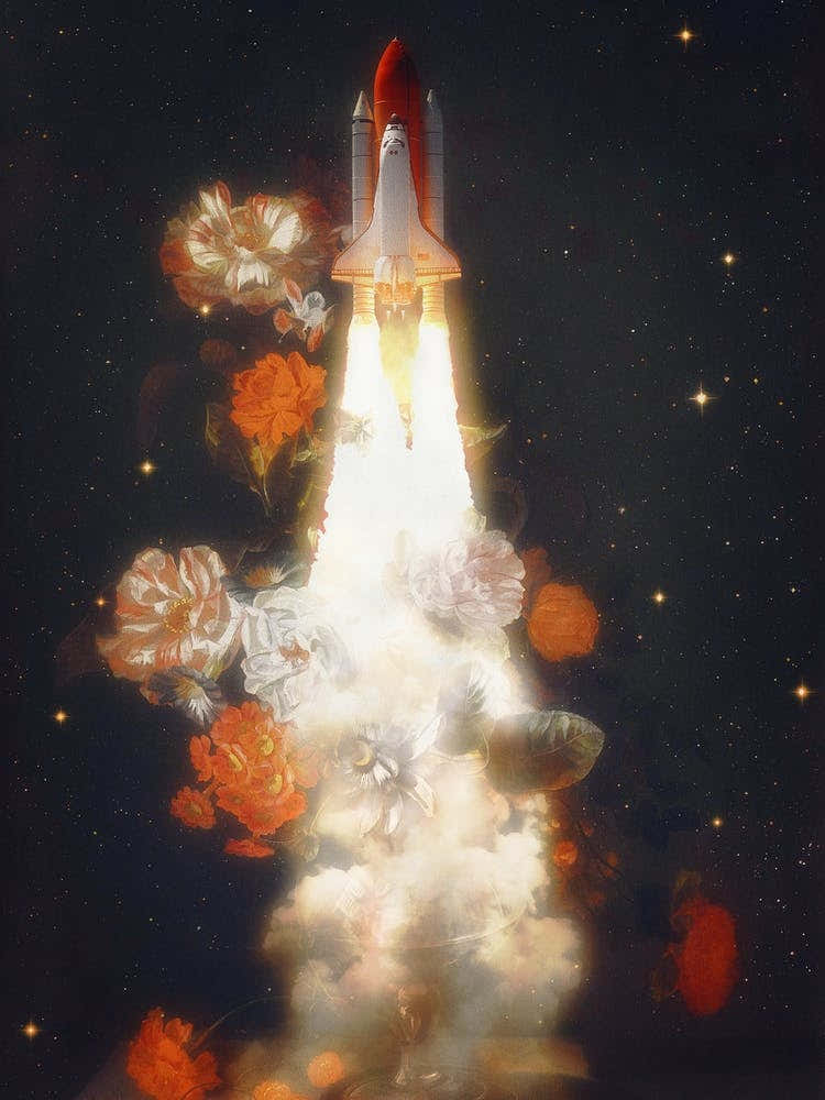 Space Shuttle & Flowers