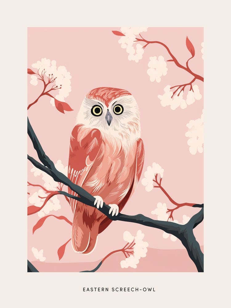Minimalist Eastern Screech Owl Bird Poster