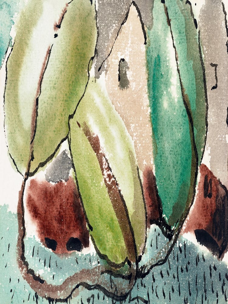 Houseplants