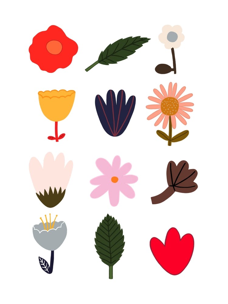 Flowers In White