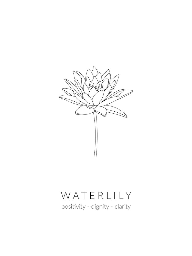 Waterlily Birth Flower