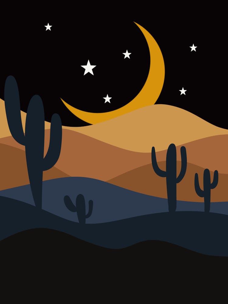 Cactus Desert Night Sky