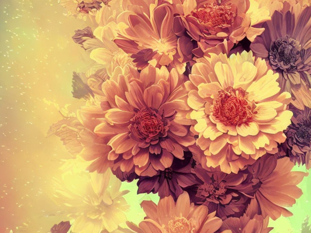 Gerberas